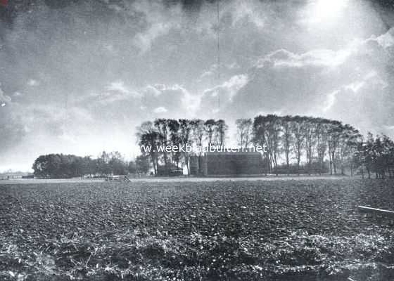 Noord-Holland, 1934, Amstelveen, Herfstdag bij Amstelveen