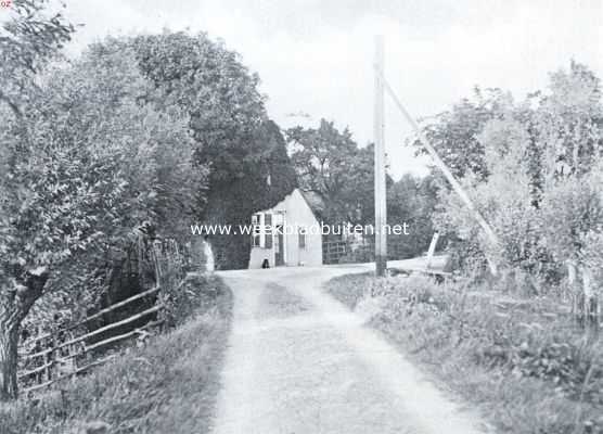 Zuid-Holland, 1934, Onbekend, De Alblasserwaard. Op den dijk tusschen Alblasserdam en Oud-Alblas