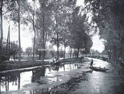 De Alblasserwaard. De Noordeloos nabij het dorpje van denzelfden naam