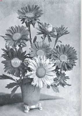 Onbekend, 1934, Onbekend, Eenjarige zaadbloemen voor den liefhebberstuin. Enkelbloemige Aster Sinensis (Opn. Uit 