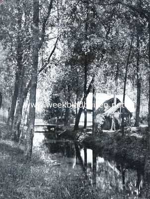 Gelderland, 1934, Onbekend, Aan de Linge in de Neder-Betuwe (bij het artikel: 