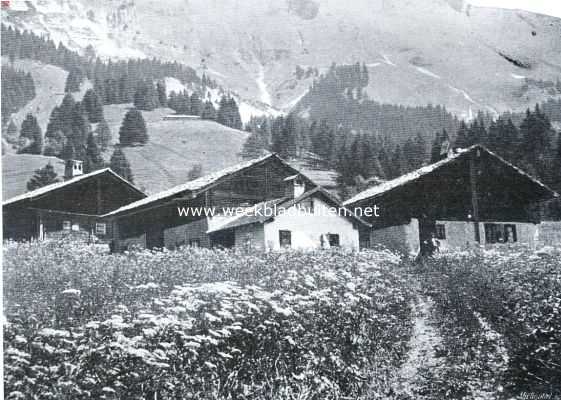 Zwitserland, 1934, Onbekend, Voorzomer in de Zwitsersche Alpen