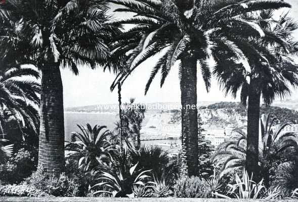 Frankrijk, 1934, Nice, Nice in den zomer. Nice, gezien uit een der exotische tuinen in de omgeving