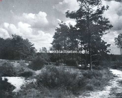 Utrecht, 1934, Onbekend, Volop zomer op den Amersfoortschen Berg