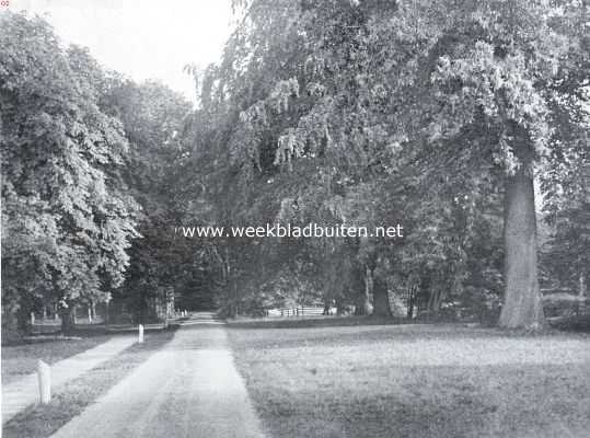 Noord-Brabant, 1934, Onbekend, In het Liesbosch bij Princenhage