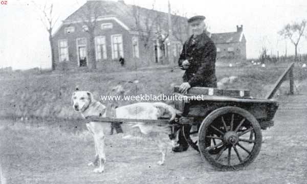 Nederland, 1934, Onbekend, De trekhond, de schande van Nederland. Deze hond was overreden door een auto, had verschillende wonden, linkerachterpoot was totaal gekneusd en kon het dier niet meer gebruiken. De boer had er een lap met teer omgedaan en kwam, gezeten op den wagen aangereden. Het dier liep te springen als een haas op drie pooten. De boer was verontwaardigd toen hem gelast werd den hond uit te spannen en naar huis te brengen