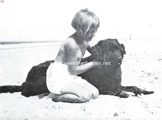 Onbekend, 1934, Onbekend, De zwarte familie. De moeder van de zwarte familie