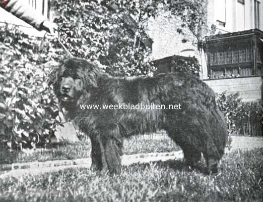 Onbekend, 1934, Onbekend, De zwarte familie. De vader, en 