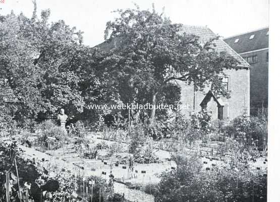 De Clusius-tuin in den Hortus Botanicus te Leiden