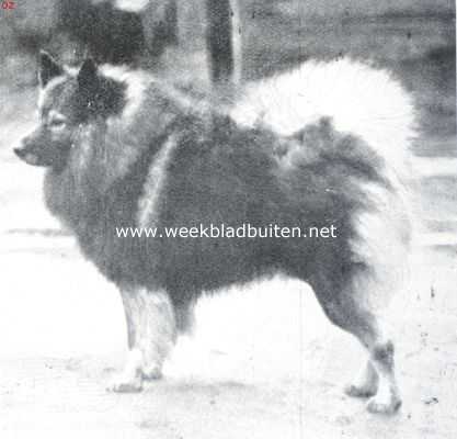 Onbekend, 1934, Onbekend, De Hollandsche keeshond. Wijlen kampioen Bart, de hond, die vele harten voor zijn ras won. Eig. Mevrouw Baronesse Van Hardenbroek van der Kleine Linat te Nuenen (N.B.)