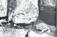 Miniatuurfoto