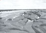 Miniatuurfoto