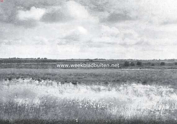Overijssel, 1935, Onbekend, Heiplas in het Beuningerveld