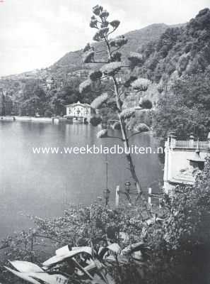 Itali, 1935, Cernobbio, Bij Cernobbio aan het Como-meer. Op den voorgrond een bloeiende agave
