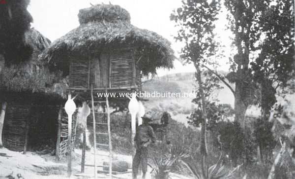 Haiti, 1935, Onbekend, Masschuurtje op Hati, tegen muizen beschermd