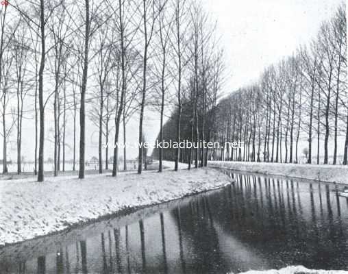 Nederland, 1935, Onbekend, Canadeesche populieren