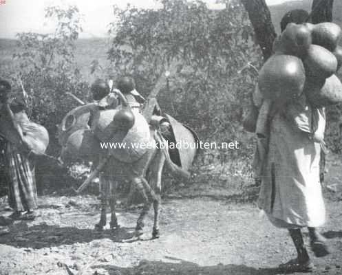 Ethiopi, 1935, Onbekend, Abessini, een land van rassen en klassen. Een verhuizende Somali-familie in Abessini. Moeder met kind voorop, dan volgt de ezel met een tweeling en keukengerei, de vader sluit den stoet, beladen met groote kalebasflesschen