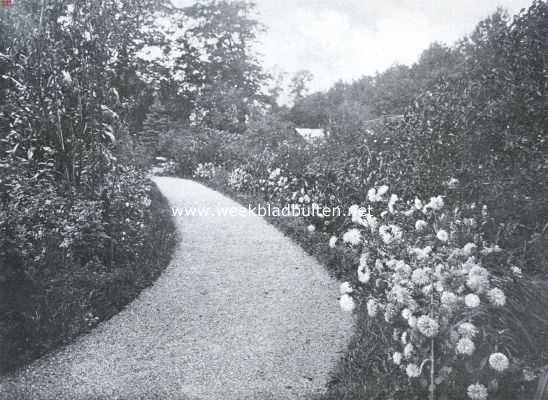 De border, haar aanleg en beplanting. Een weelderige border