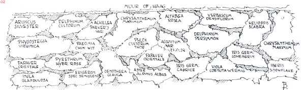 Onbekend, 1935, Onbekend, De border, haar aanleg en beplanting. Schema van een zomerborder