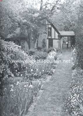 De border, haar aanleg en beplanting. Een voorzomer-border