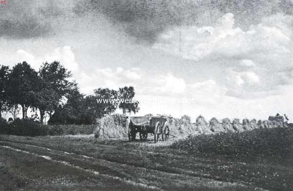 Drenthe, 1935, Onbekend, Mooi Drenthe. Graanoogst op de Drentsche landen