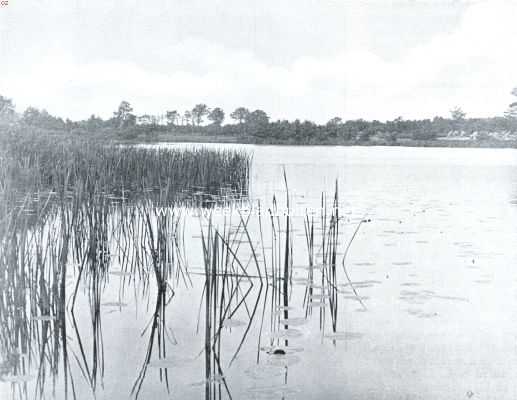 Drenthe, 1935, Ruinerwold, Mooi Drenthe: rondom Hoogeveen. Het Sultansmeer bij Ruinerwolde