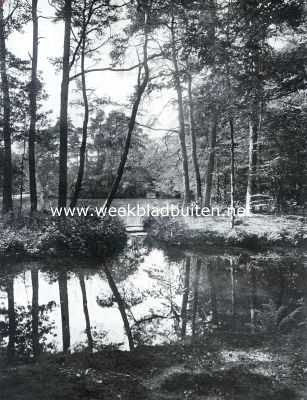 Nederland, 1935, Onbekend, Boschvijver