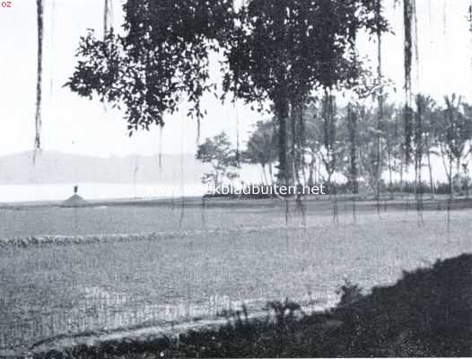 Indonesi, 1935, Onbekend, Het Tobameer. Sawahs op het eiland Samosir