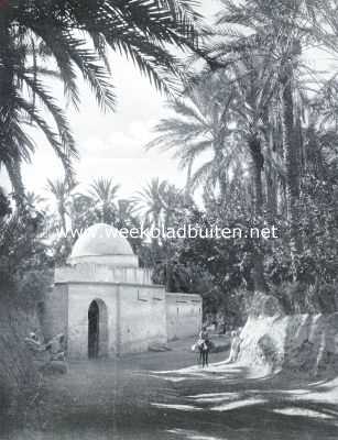 Tunesi, 1935, Gabs, In de oase van Gabs aan de Kleine Syrthe in Tunis