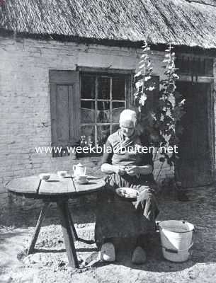 Rustieke schoonheid op de Veluwe