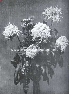 Onbekend, 1935, Onbekend, Verschillende vormen van Chrysanthen