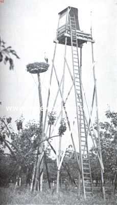 Onbekend, 1935, Onbekend, De 11 meter hooge observatiepost bij het ooievaarsnest