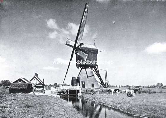 Zuid-Holland, 1935, Zwammerdam, Hollandsch polderschoon bij Zwammerdam