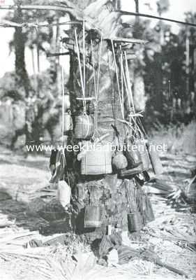 Indonesi, 1935, Onbekend, Riet, biet, palm. De tappers op Timor hangen hun heele hebben en houden aan den lontarpalm vr de met hun werk beginnen