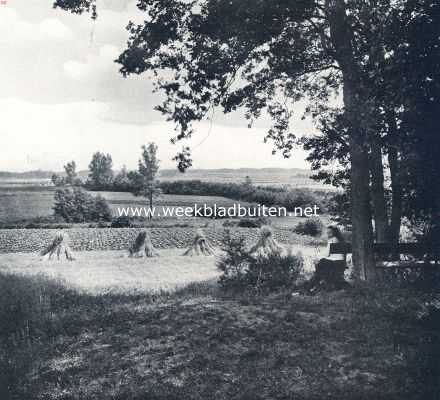 Overijssel, 1936, Ootmarsum, Het Twentsche heuvelland bij Ootmarsum