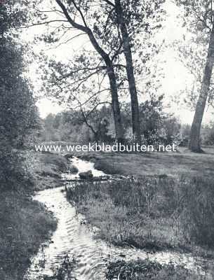 Overijssel, 1936, Onbekend, Het pasgeboren beekje in het bronnendal. (Bij het artikel: 