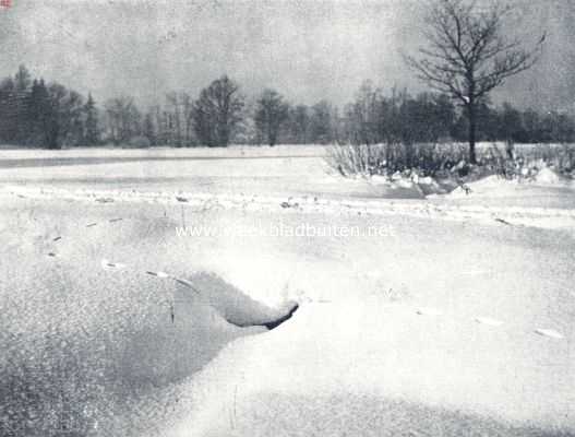 Onbekend, 1936, Onbekend, Sporen in de sneeuw. De wezel heeft een onderzoek bij den duiker ingesteld