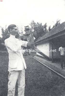 Indonesi, 1936, Onbekend, Kioek met zijn baas