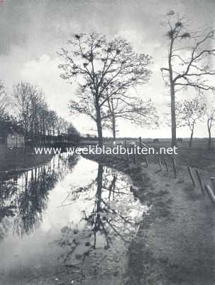 Noord-Holland, 1936, Onbekend, Een reigerkolonie in een Noord-Hollandsche droogmakerij (bij het artikel 