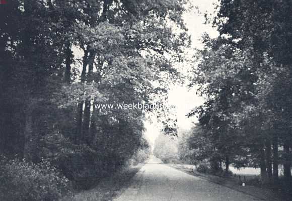 Nederland, 1936, Onbekend, Fraaier aankleeding van den weg is bezwaarlijk denkbaar