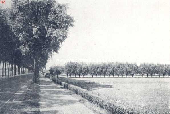 Nederland, 1936, Onbekend, Groote verkeersweg met landelijke omgeving