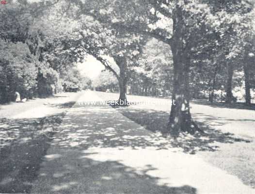 Nederland, 1936, Onbekend, Beplanting, die zich goed aan het karakter van het landschap aanpast