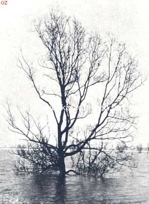 Nederland, 1936, Onbekend, Het water, een vriend en een vijand. Een ernstig gevaar