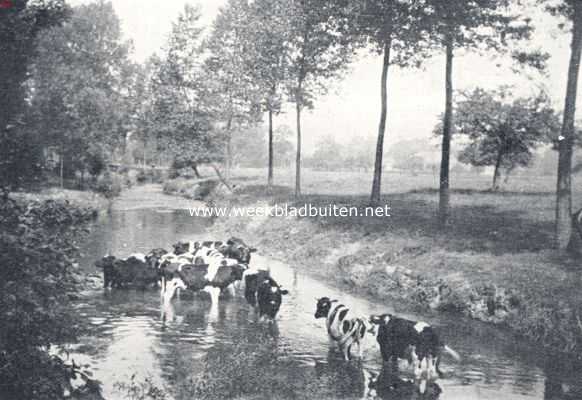 Voorjaar in Limburg. De Geul bij Valkenburg