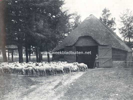 Zwervend rond het oude Elspeet. Oude schaapskooi van de Noordelijke Veluwe