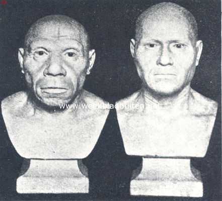 Onbekend, 1936, Onbekend, Links: Reconstructie van een Neanderthaler; Rechts: Idem van een Cromagnonmensch (Naar Mac Gregor)