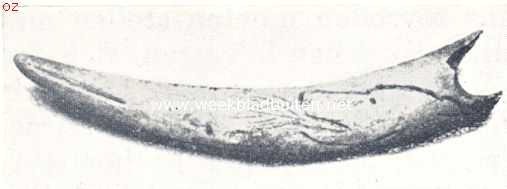 De praehistorie van den mensch. Graveeringen van Cromagnons op beenen voorwerpen (naar Obermaier) 1