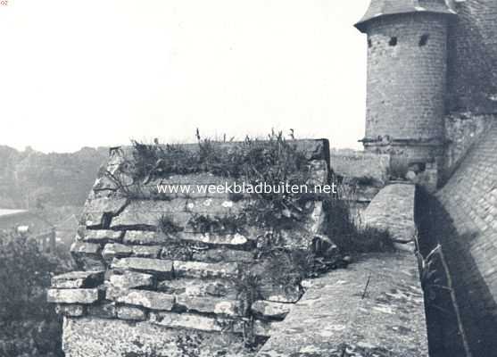 Gelderland, 1936, Zaltbommel, De kerk van Zaltbommel. Plantengroei tusschen de afdekking der contraforten op het dak van het koor der Zaltbommelsche kerk