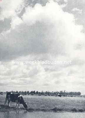 Noord-Holland, 1936, Onbekend, Zomer in de Beemster