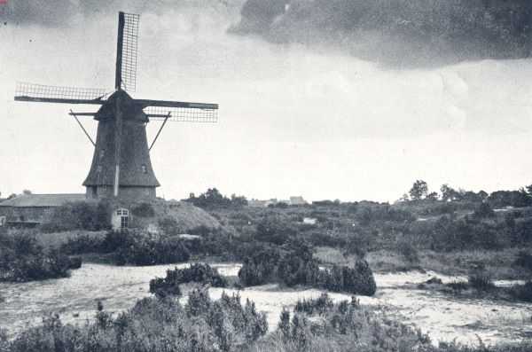 Molens. Korenmolen (beltmolen) op de heide bij Marienberg (Ov.)